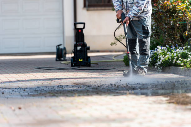 Best Roof Pressure Washing  in Romeo, MI