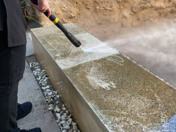 Best Power Washing Near Me  in Romeo, MI