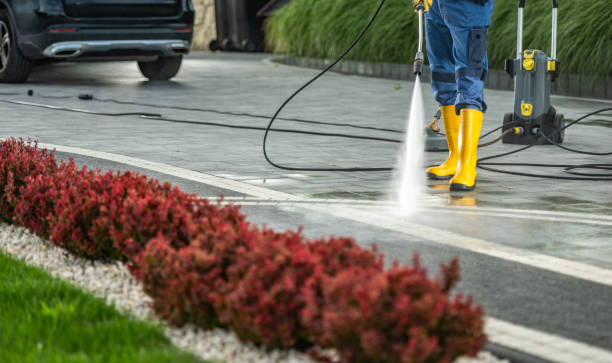 Best Concrete Pressure Washing  in Romeo, MI