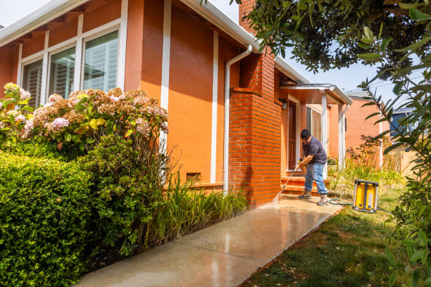 Best Sidewalk Pressure Washing  in Romeo, MI